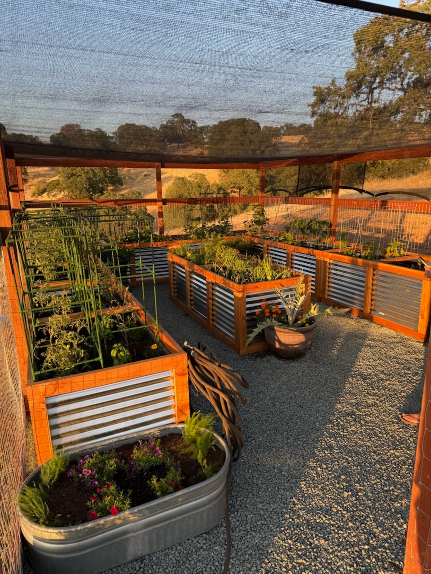 Custom corrugated metal and cedar raised garden beds under a shade canopy