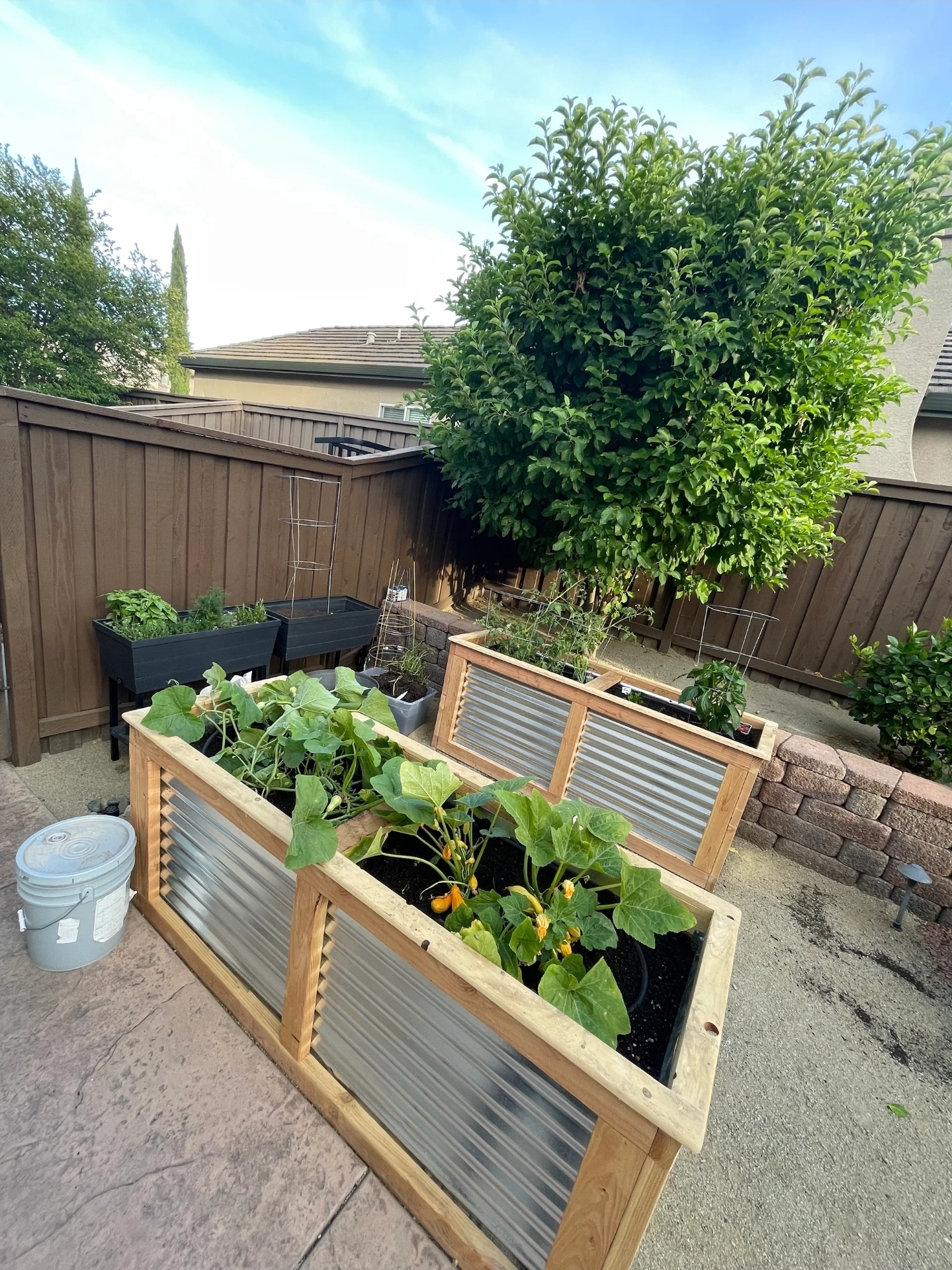Six planters staged together with bedding plants
