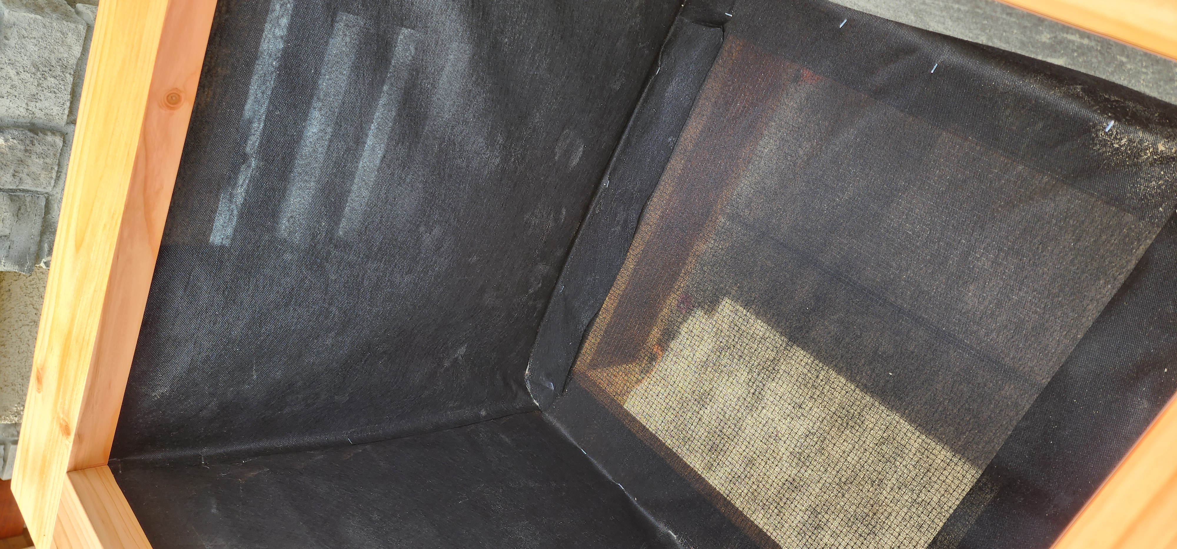 Inside view of a tall planter shell